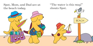 Aper&ccedil;u du contenu 5_Find Spot at the Beach