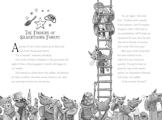 Aper&ccedil;u du contenu 2_Finders of Silverthorn Forest