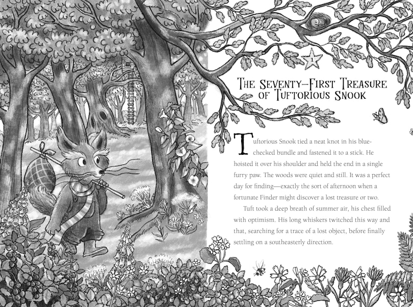 Aper&ccedil;u du contenu 3_Finders of Silverthorn Forest