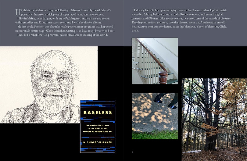 Aper&ccedil;u du contenu_Finding a Likeness