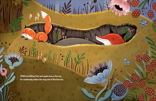 Aper&ccedil;u du contenu 2_Finnegan Fox