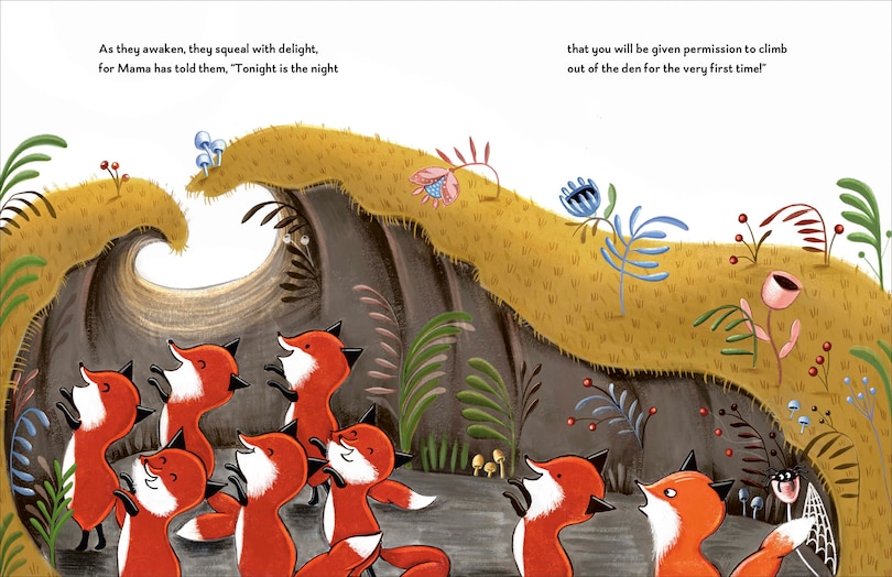 Aper&ccedil;u du contenu 4_Finnegan Fox