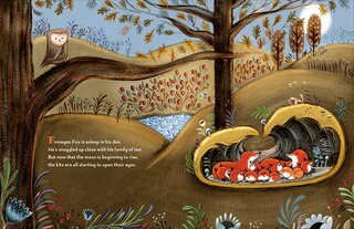 Aper&ccedil;u du contenu 5_Finnegan Fox