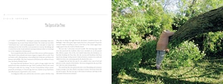 Sample content_Fiona