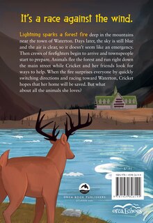 Back cover_Fire On The Mountain