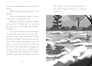 Sample content 5_Fire On The Mountain