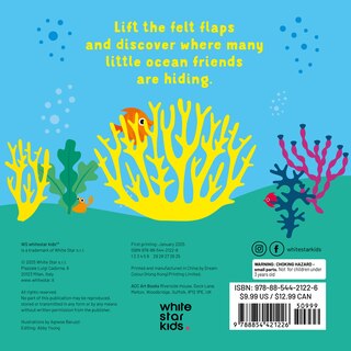Back cover_Flip the Felt Fish
