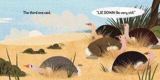Sample content 2_Five Hiding Ostriches