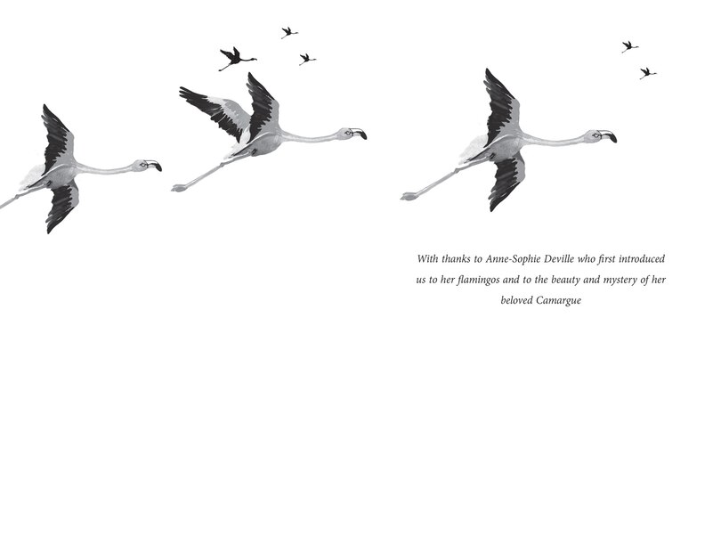 Sample content_Flamingo Boy