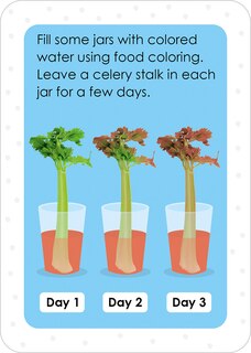 Aper&ccedil;u du contenu 3_Flashcards Grade 1 Make and Learn Flashcards