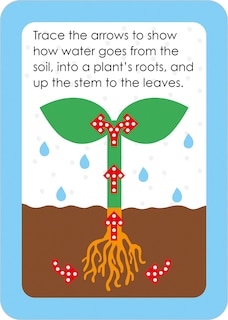 Aper&ccedil;u du contenu 4_Flashcards Grade 1 Make and Learn Flashcards