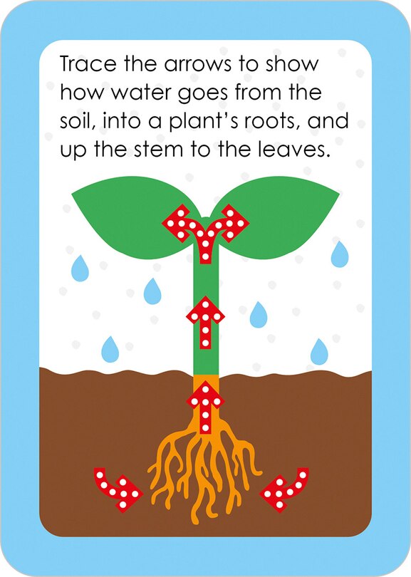 Aper&ccedil;u du contenu 4_Flashcards Grade 1 Make and Learn Flashcards