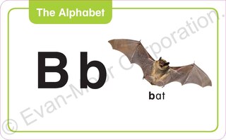 Sample content 3_Flashcards: The Alphabet