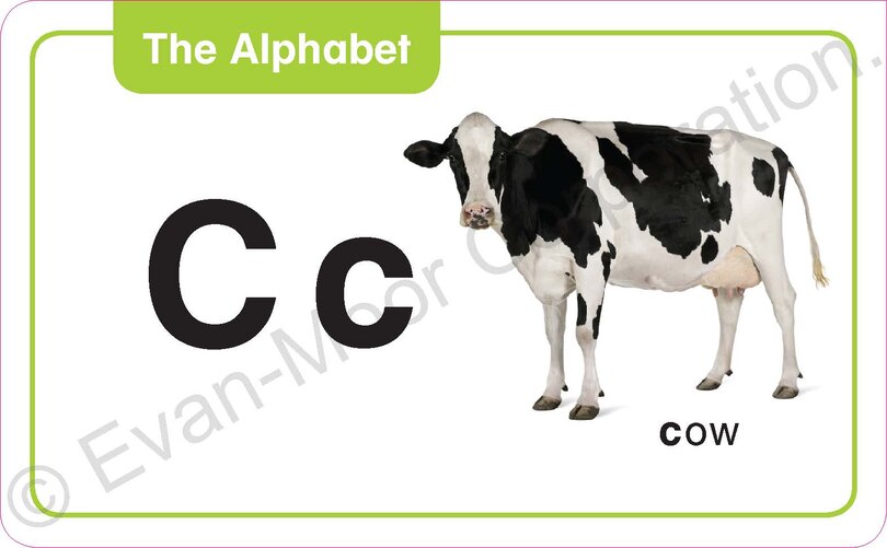 Sample content 5_Flashcards: The Alphabet