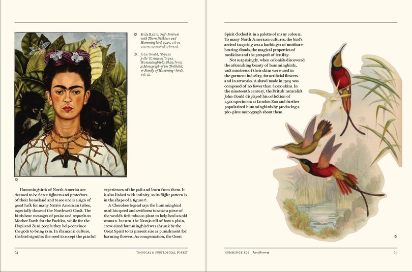 Aper&ccedil;u du contenu 2_Flight