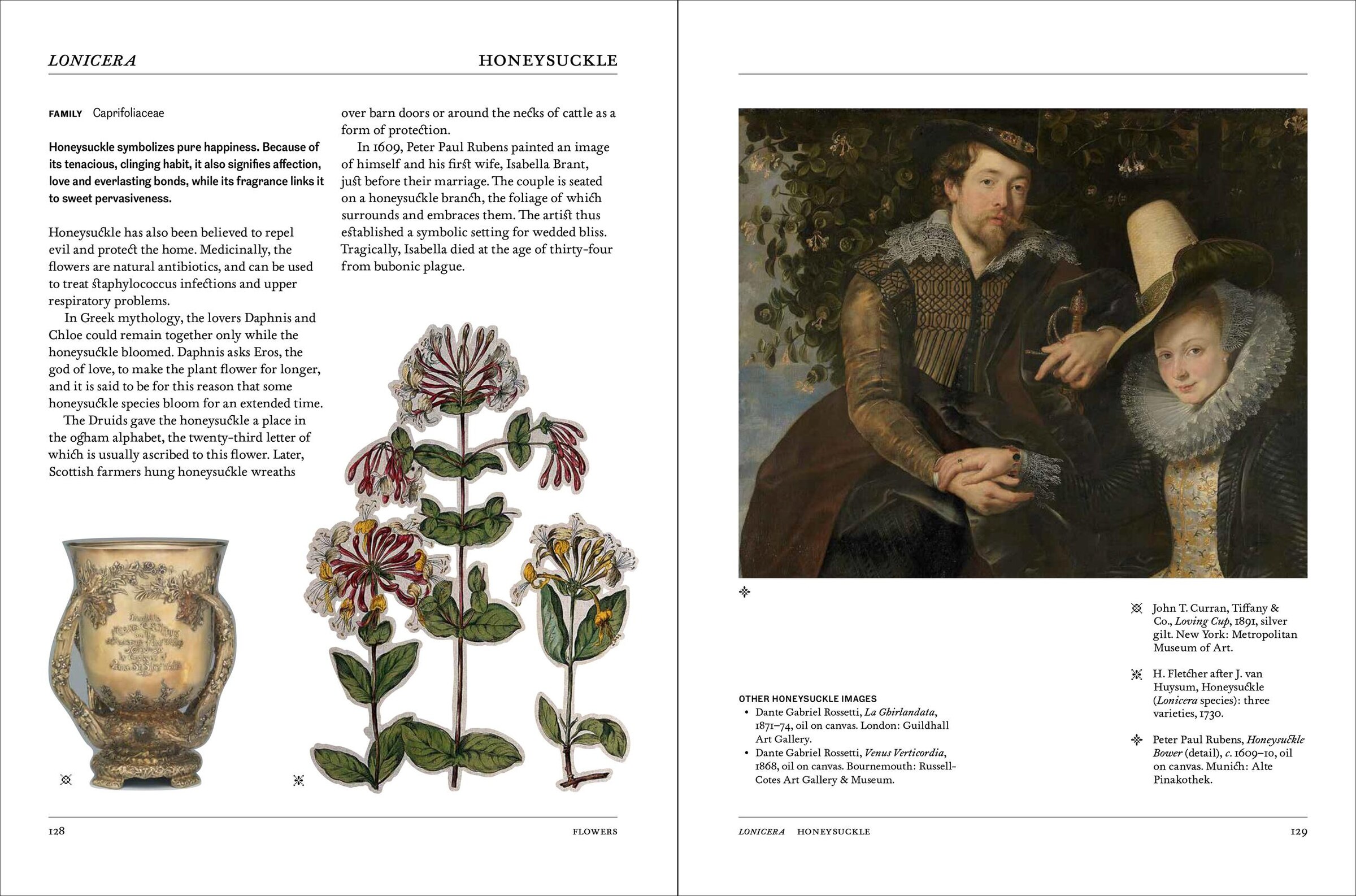 Flora: The Secret Language Of Plants In Art Book By Hope Werness