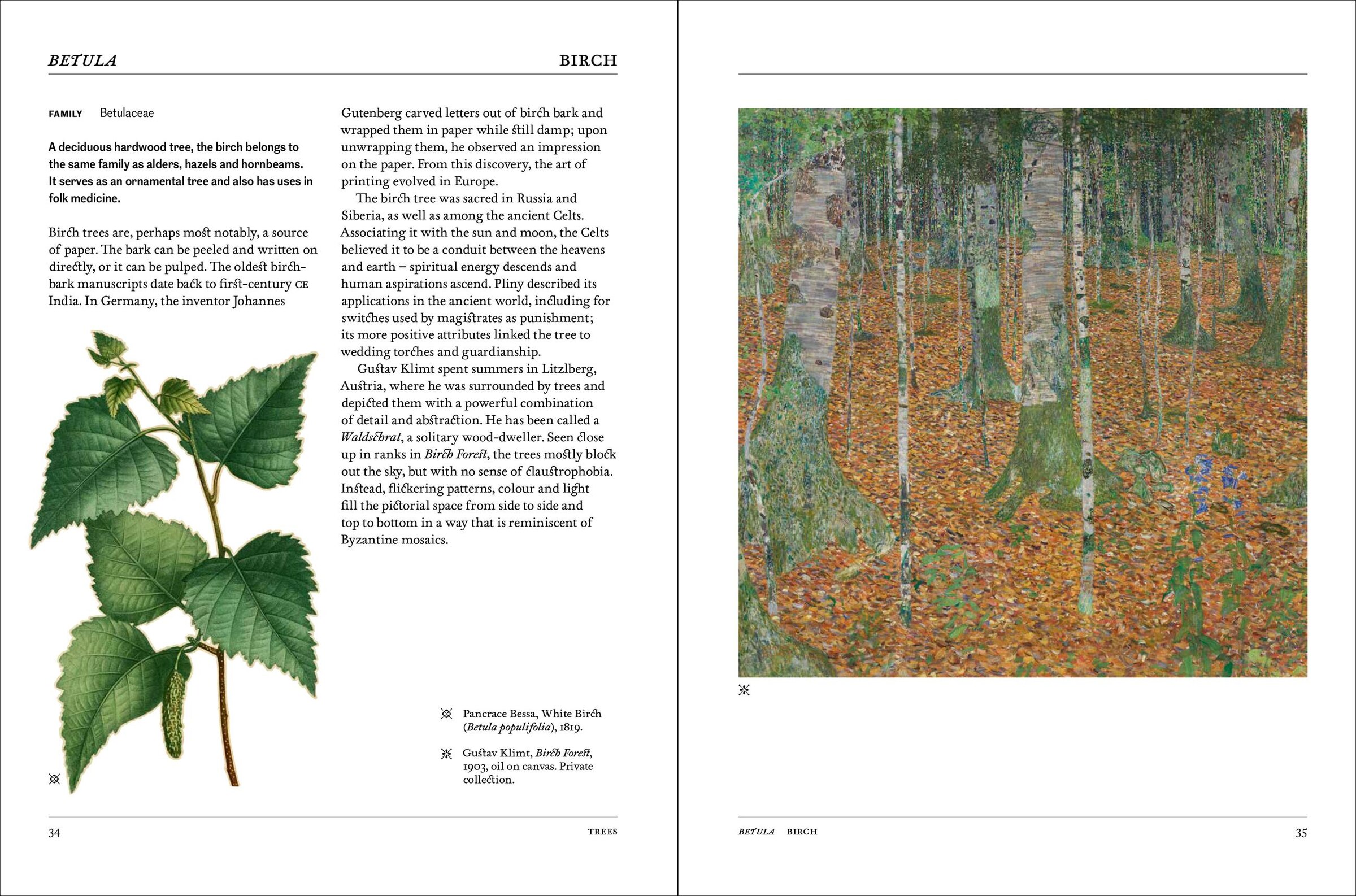 Flora: The Secret Language Of Plants In Art Book By Hope Werness
