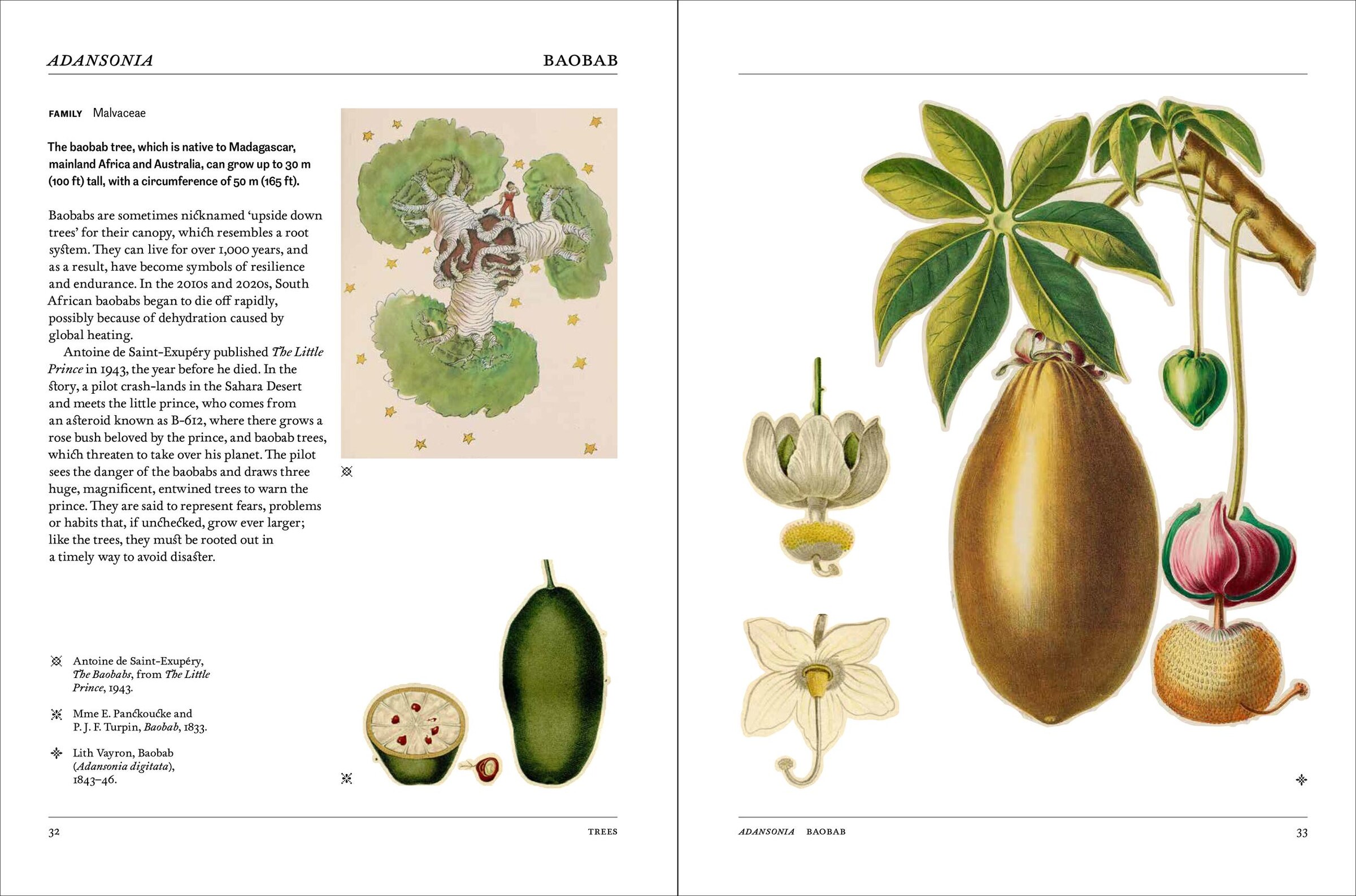 Flora: The Secret Language Of Plants In Art Book By Hope Werness