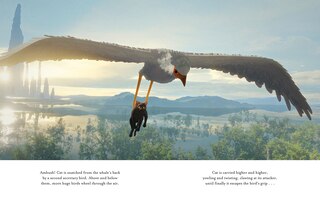 Sample content 2_Flow Picture Book