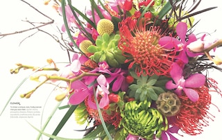 Aper&ccedil;u du contenu 2_Flower Energy