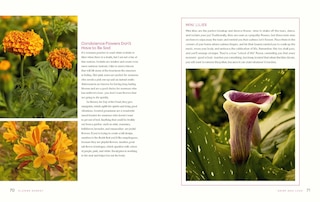 Aper&ccedil;u du contenu 3_Flower Energy