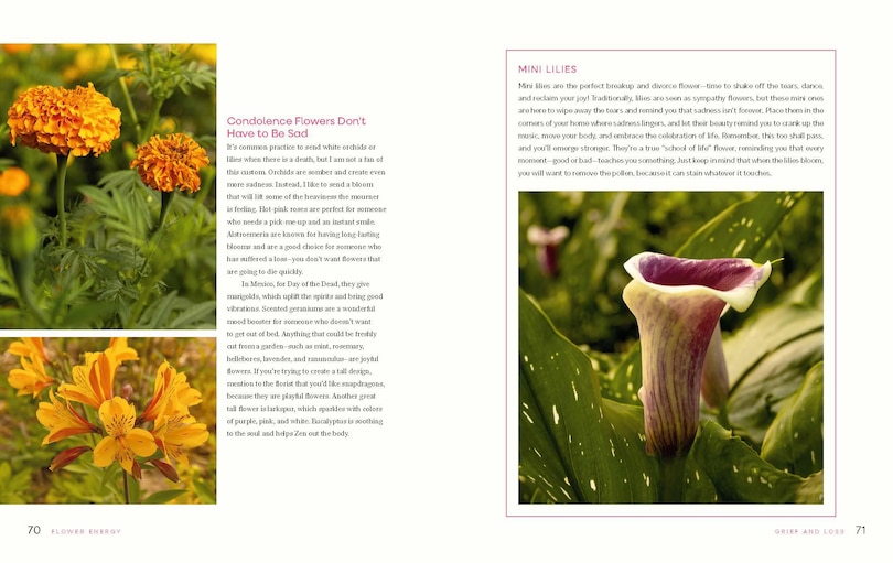 Aper&ccedil;u du contenu 3_Flower Energy