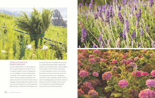 Aper&ccedil;u du contenu 4_Flower Energy