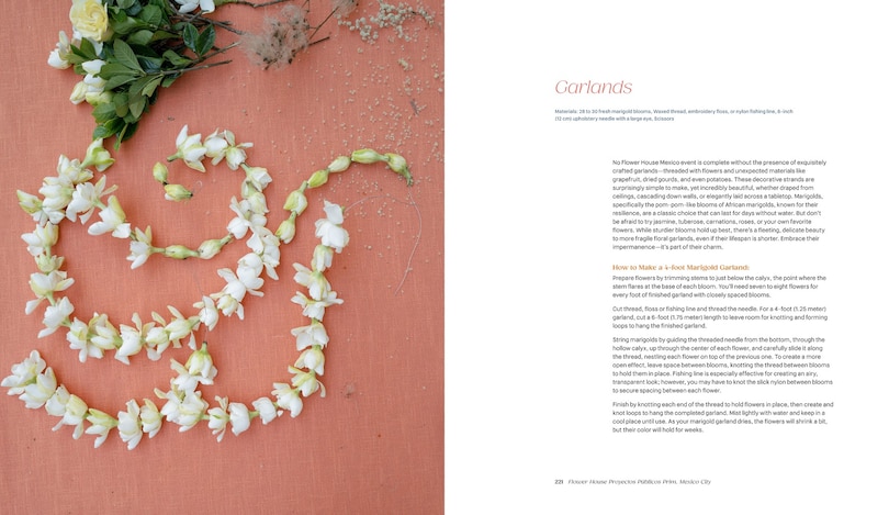 Aper&ccedil;u du contenu_Flower House Mexico