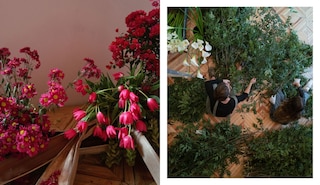 Aper&ccedil;u du contenu 2_Flower House Mexico