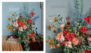 Aper&ccedil;u du contenu 3_Flower House Mexico