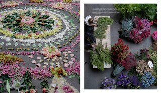 Aper&ccedil;u du contenu 4_Flower House Mexico