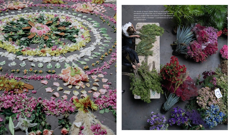 Aper&ccedil;u du contenu 4_Flower House Mexico