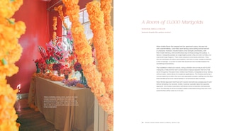 Aper&ccedil;u du contenu 5_Flower House Mexico