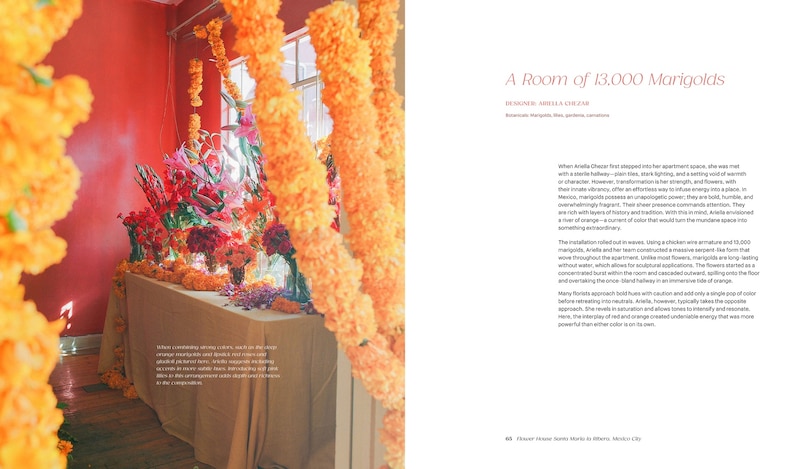Aper&ccedil;u du contenu 5_Flower House Mexico