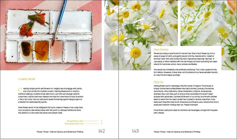Aper&ccedil;u du contenu 2_Flowerprint