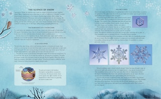 Aper&ccedil;u du contenu_Flurry, Float, and Fly!