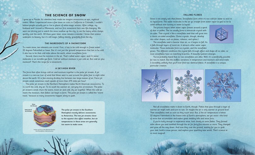 Aper&ccedil;u du contenu_Flurry, Float, and Fly!