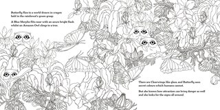 Sample content 2_Fly, Butterfly, Fly! Colouring Book