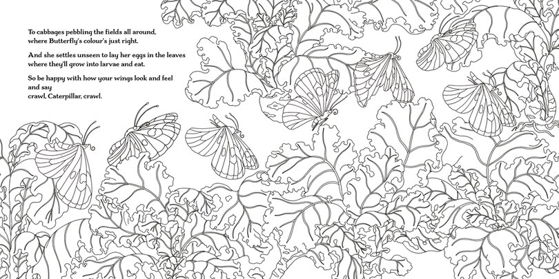 Sample content 4_Fly, Butterfly, Fly! Colouring Book