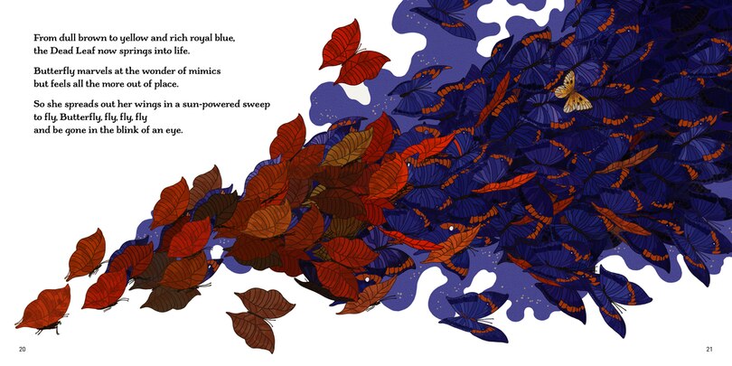 Sample content 3_Fly, Butterfly, Fly!