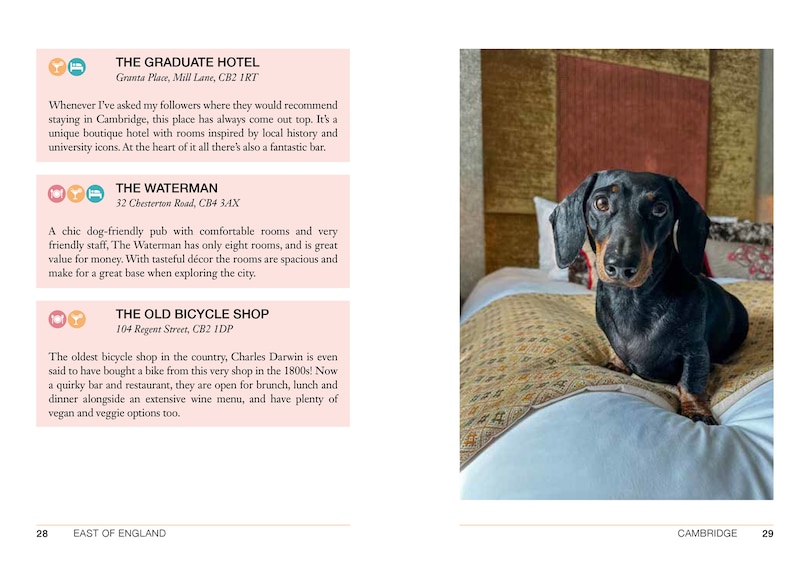 Sample content 5_Follow My Lead: UK Walking Adventures for You and Your Dog