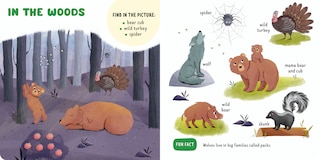 Sample content_Forest Animals