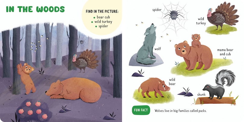 Sample content_Forest Animals