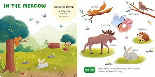 Sample content 2_Forest Animals