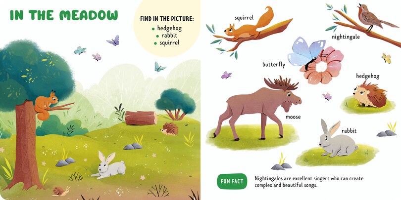 Sample content 2_Forest Animals