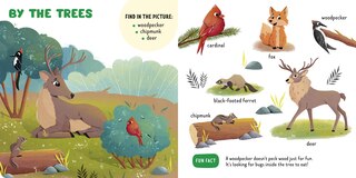 Sample content 3_Forest Animals