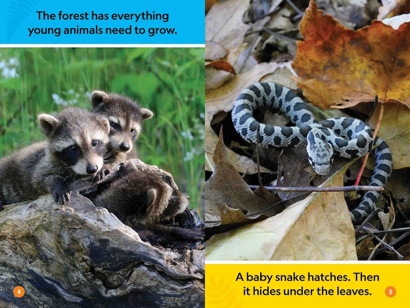 Aperçu du contenu 3_Forest Babies (National Geographic Kids Readers, Pre-Reader)