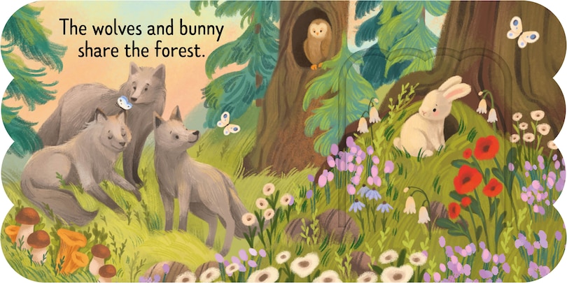 Sample content 3_Forest