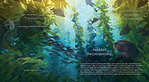 Sample content 2_Forests