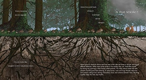 Sample content 3_Forests